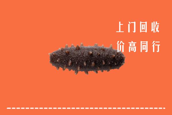 高价求购：黄梅县回收海参