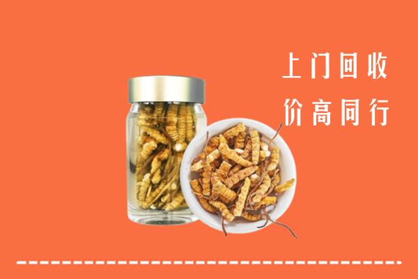 黄梅县回收冬虫夏草