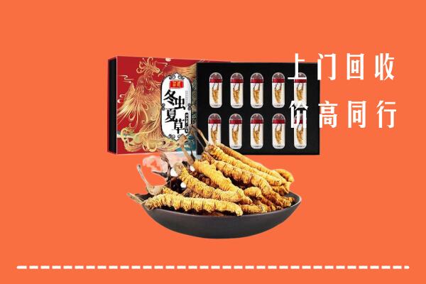 黄梅县回收虫草